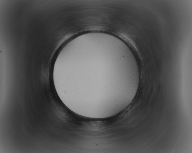 X0000086980108200705071424