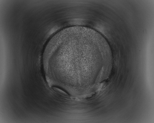 X0000086980111200705071424