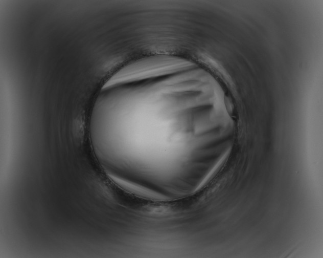 X0000086980113200705071424