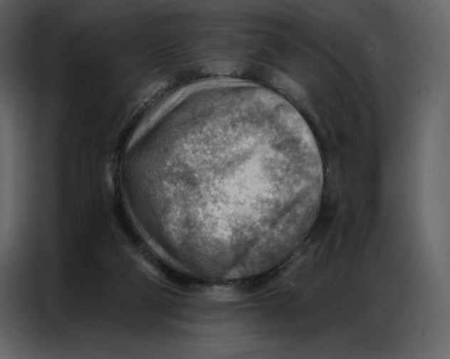 X0000086980114200705071424