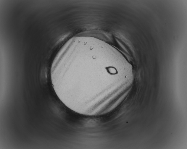 X0000086980115200705071424