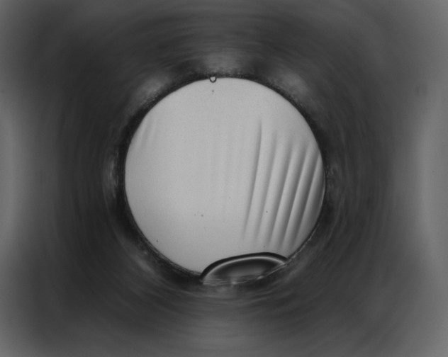 X0000086980116200705071424