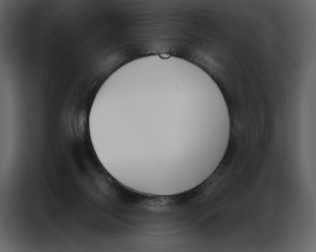 X0000086980118200705071424