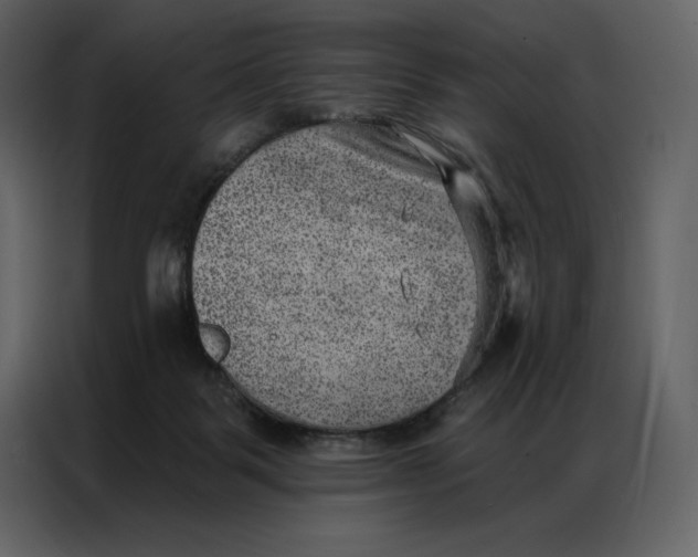 X0000086980123200705071424