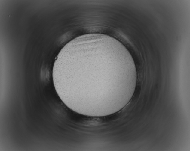 X0000086980124200705071424