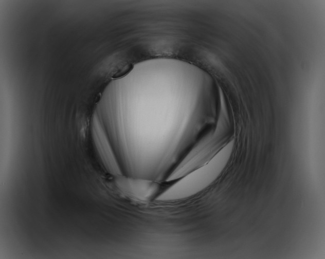 X0000086980125200705071424