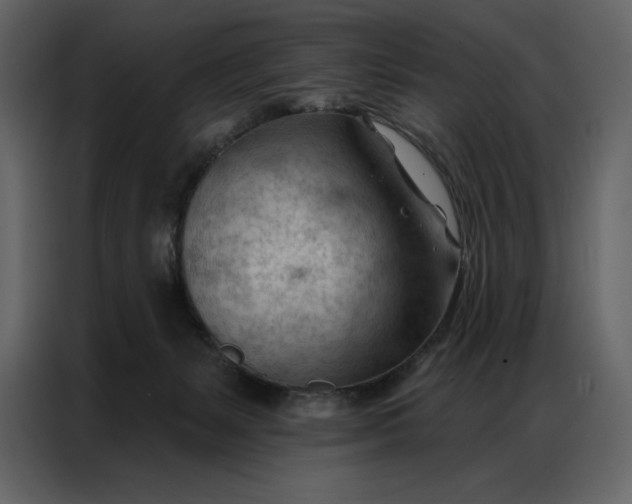 X0000086980127200705071424