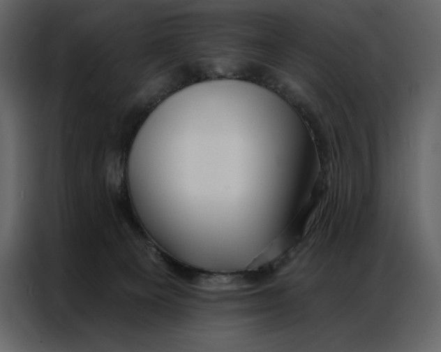 X0000086980129200705071424