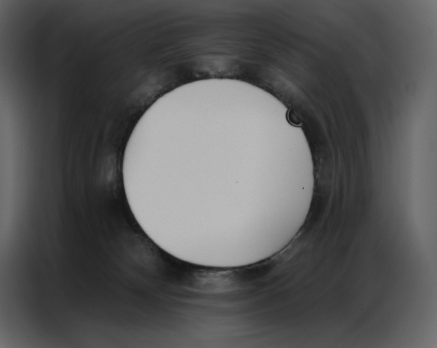 X0000086980132200705071424