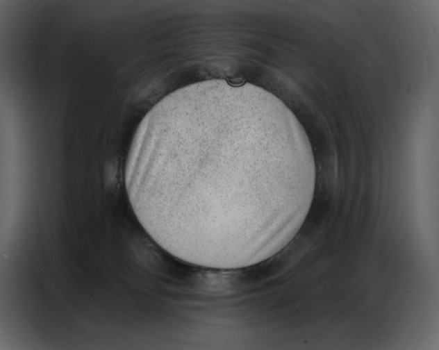 X0000086980134200705071424