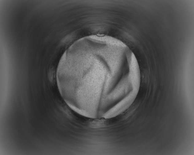 X0000086980138200705071424