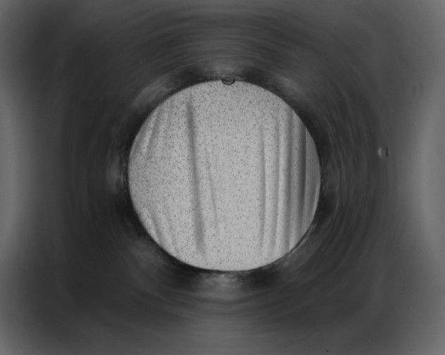 X0000086980140200705071424