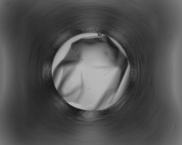 X0000086980142200705071424