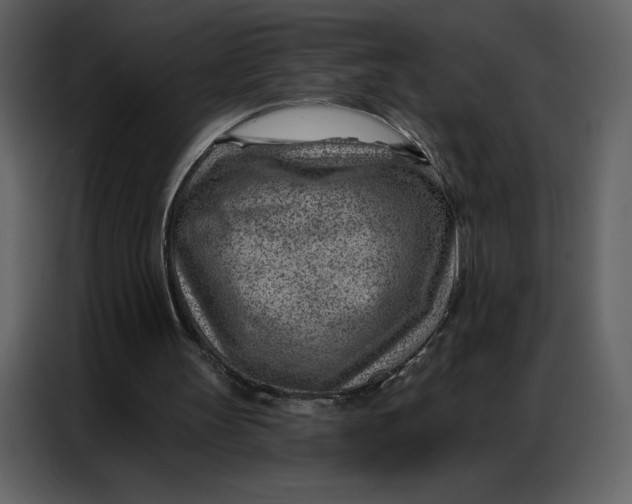 X0000086980147200705071423