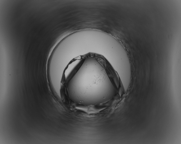 X0000086980148200705071423