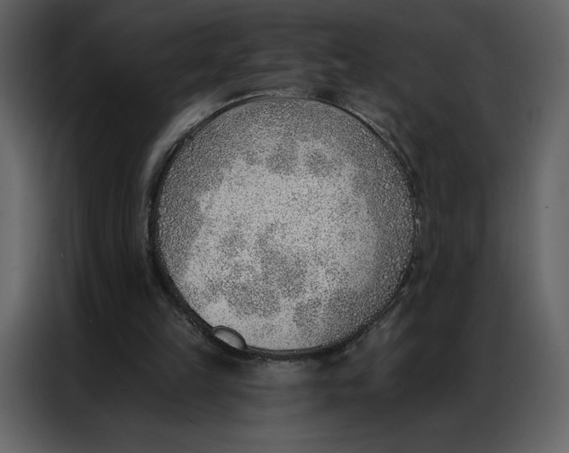 X0000086980149200705071423