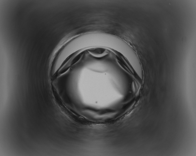 X0000086980150200705071423