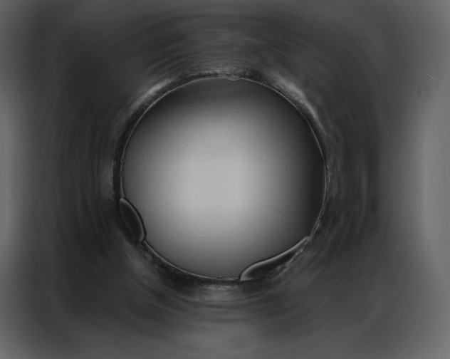 X0000086980154200705071423