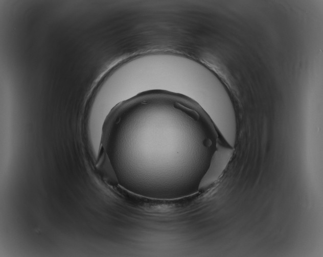 X0000086980156200705071423