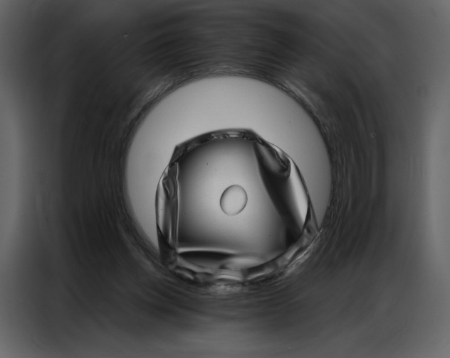 X0000086980158200705071424