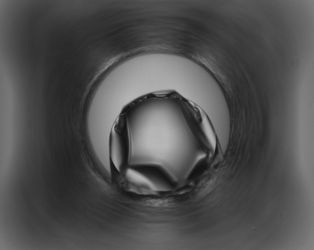 X0000086980160200705071424