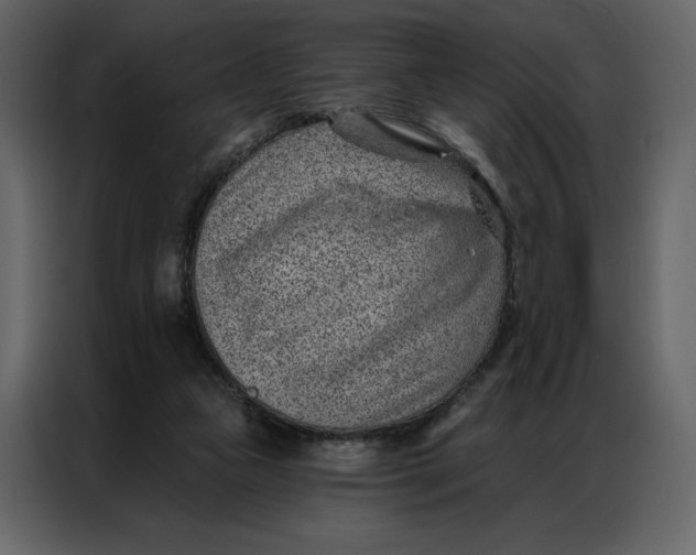 X0000086980161200705071424