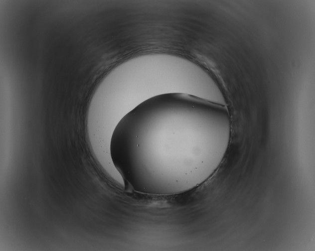 X0000086980162200705071424