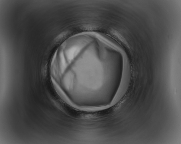 X0000086980163200705071424