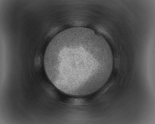 X0000086980165200705071424