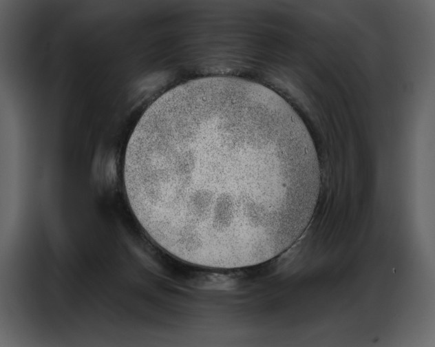 X0000086980166200705071424