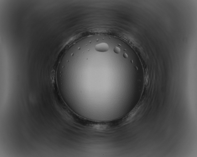 X0000086980168200705071424