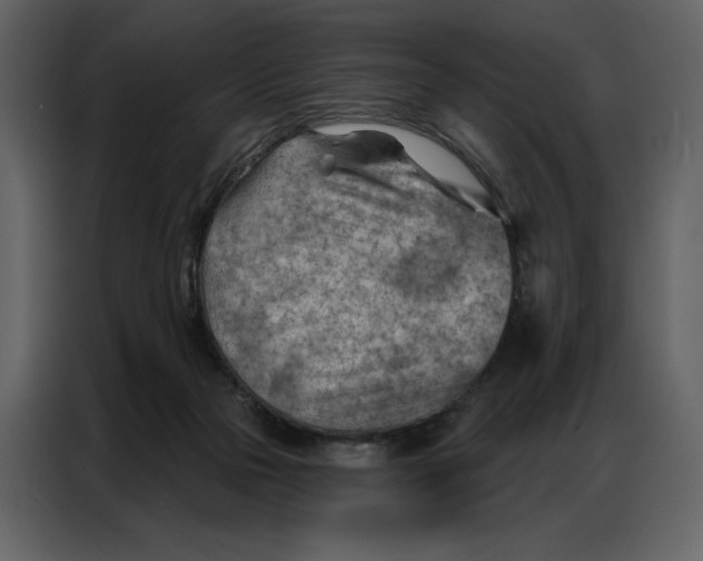 X0000086980169200705071424