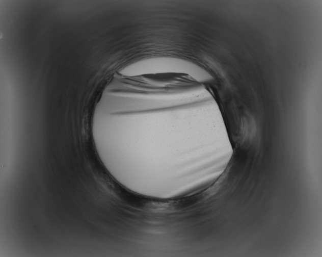 X0000086980170200705071424