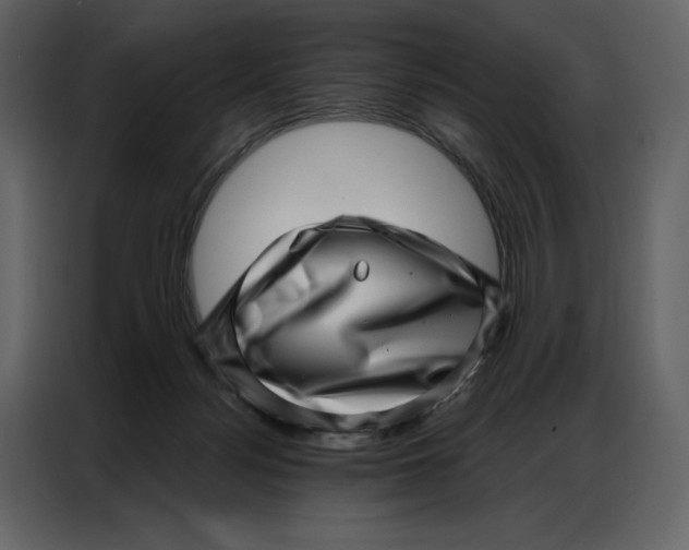 X0000086980172200705071424