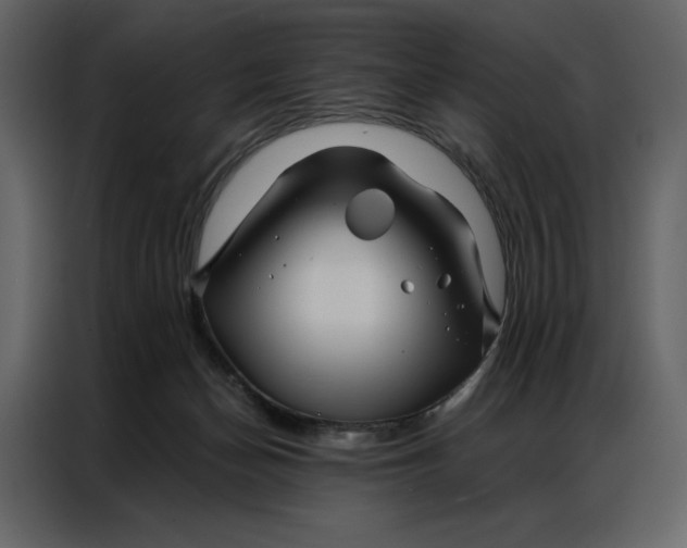 X0000086980174200705071424