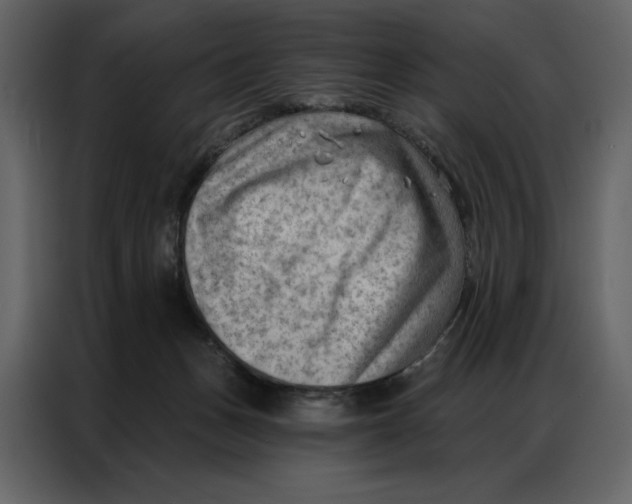 X0000086980175200705071424