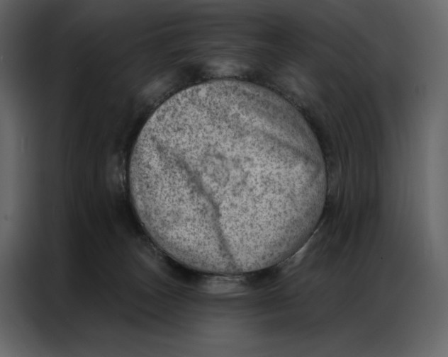 X0000086980179200705071424