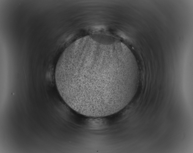 X0000086980181200705071424