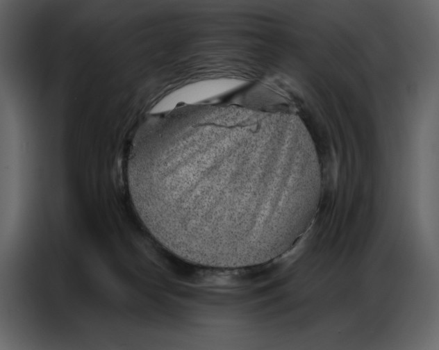 X0000086980182200705071424