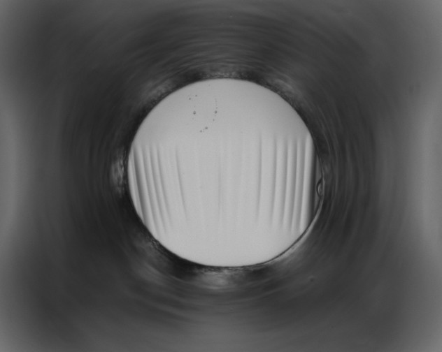 X0000086980190200705071424