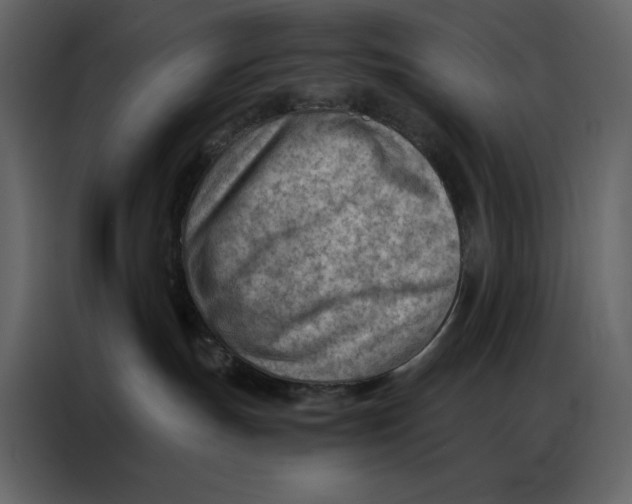 X0000086980191200705071424