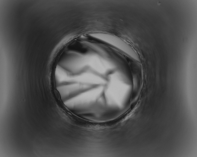 X0000086980197200705071423