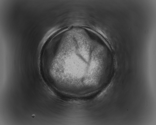 X0000086980199200705071423