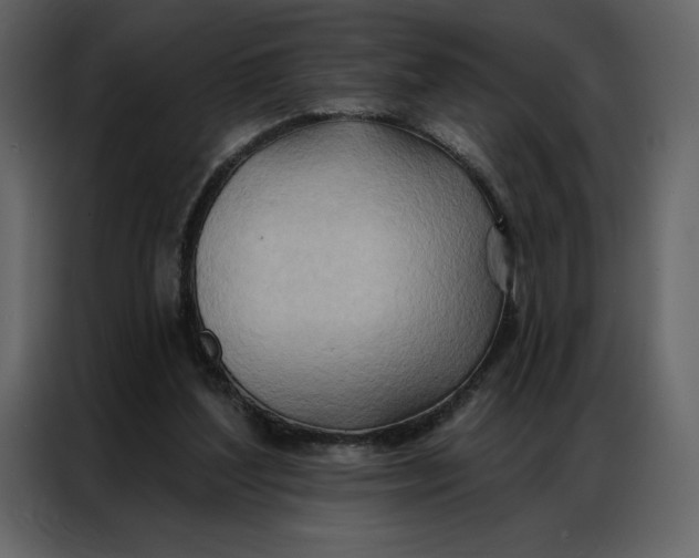 X0000086980204200705071423