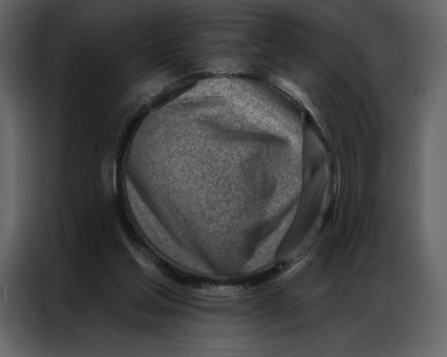 X0000086980205200705071423