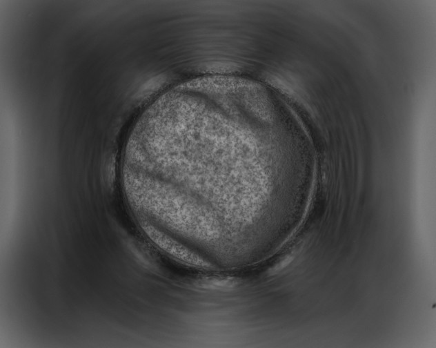 X0000086980206200705071423