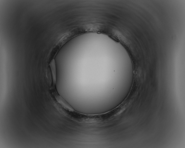 X0000086980209200705071423