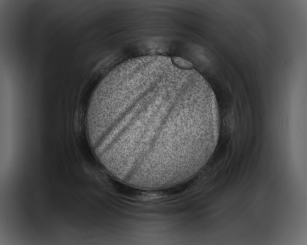 X0000086980218200705071423