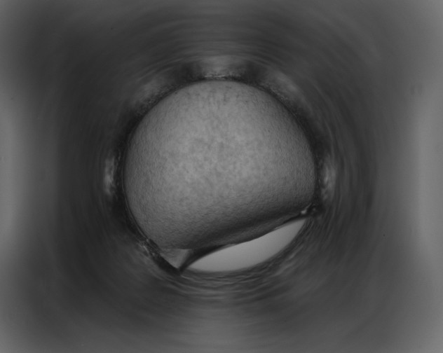 X0000086980219200705071423