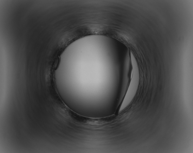 X0000086980221200705071423